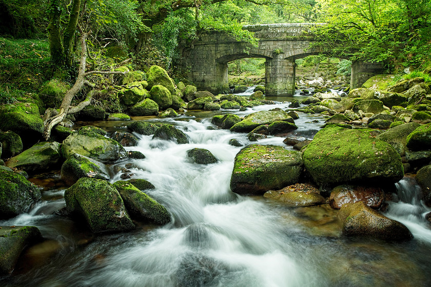 Below-Bridge 
 Keywords: bridge stone steam moss