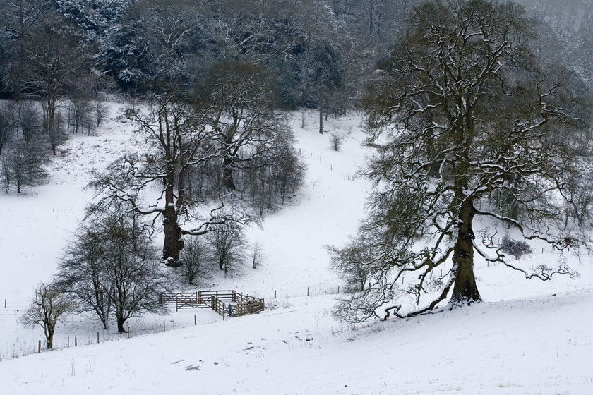 Woodchester-Snow-no1