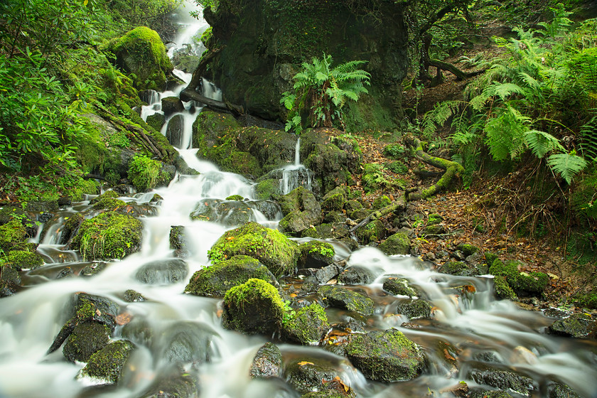 Burrator-Falls 
 Keywords: Burrator, waterfall, moss