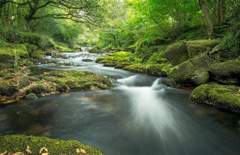 Form-River 
 Keywords: harford bridge, river erme