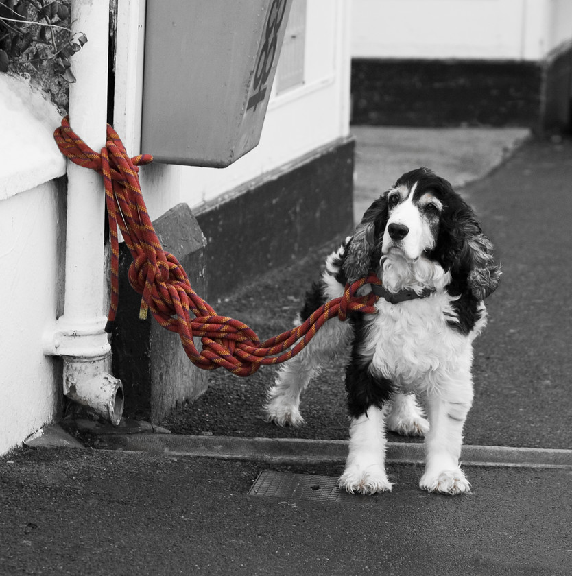 Red-Rope